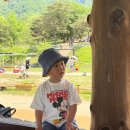 해피뷰병원 내 매점 | 한국의 스위스, 춘천 아이랑 가볼만한 곳 [해피초원목장]