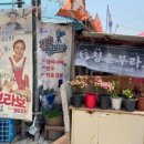 강아지맛집 이미지