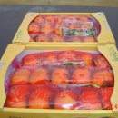 농장 천지인 이미지