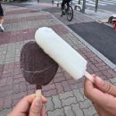 대원목욕탕 | 6월 첫째주 주간일기｜혼인신고도 하고 갑자기 어른이 된 한 주