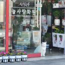 늘사랑화원