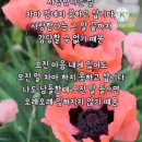 40. 後滄名詩후창명시(166~167)謝敬山鄭友사경산정우【基聲기성】贊討誣斥倍찬토무척배 二首 이수,訪悅齋蘇丈방열재소장【學奎학규】不遇불우 이미지