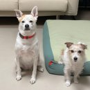 수원-0537 이미지