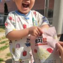 로지마리 | 입에서 사르르 녹는 건강한 아기 과자, '로지오가닉 요거트 로지팝' 후기