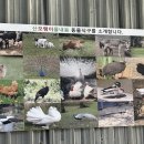 풀내음펜션 이미지
