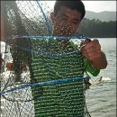 장호2리 이미지