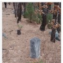 화엄사 주차장 이미지