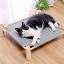 둥지애견 이미지