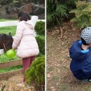 종해농장 이미지