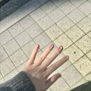 HANNAIL(한네일) | 영롱한 구디네일샵 자석젤 'HAN 네일 & 속눈썹' 가을네일 받은 후기