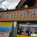 금봉참옻닭