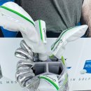 SG예스골프 이미지