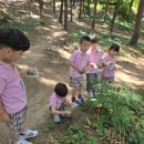 원암어린이집 이미지