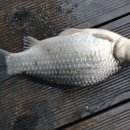 봉낚시터 이미지