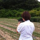 한빛농장 이미지