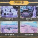 중앙능선-적멸굴- 비로봉- ★원효봉-홍룡사주차장-대성마을 5 이미지