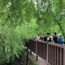 동재가산수피아 이미지