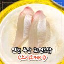 스시오케이 | 인천 주안 회전초밥 스시오케이 내돈내산 주차,주말후기