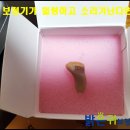 밝은소리보청기 이미지