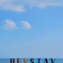 스테이 심심 이미지