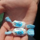 보림회타운