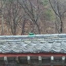 진불사 - 1652 | 진불사