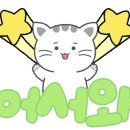 예뻐질고양 이미지