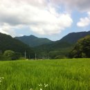 영동IC(영동)