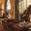 호텔 더 레드 이미지