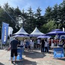 스포츠토토