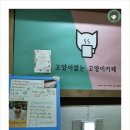 냥토피아 이미지