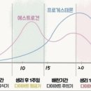 기본 필라테스&피티# 이미지