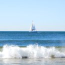 산과바다 이미지