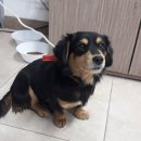 진남주유소 이미지