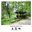 건지산(장덕사) | [전북 전주] 가볼만한곳 송천동 편백나무숲 산책길 &#39;오송제&#39; 데이트 입장료 주차