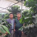 황성농장 이미지