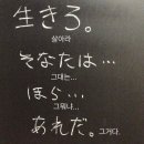 시간의문대구 | [대구 방탈출]동성로 방탈출 시간의 문 '혼숨' 후기