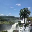 까미농장 | 감탄으로 부족한 세계 3대폭포 이과수폭포/남미30일 여행(23~28일차)