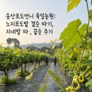 육일농원
