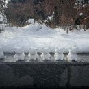 남악1로 42번길 이미지