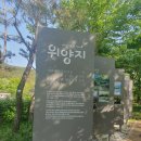 5월, 이팝나무를 보고와서...