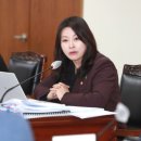 박진희 카카오 검색결과