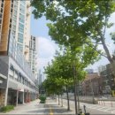 노원-월계-4223 이미지