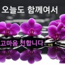 오늘도함께 이미지