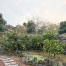 돌집2 | [내돈내산]유수암돌집 숙소 후기