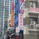 차이나 정향 이미지