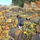 바다여행 | 통영 루지 여행 숙소, 바다뷰 펜션 후기