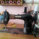 고아세탁소 이미지