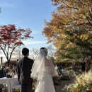 서03-402 | [더아름다운결혼식] 25.11.15 오후 남산한남웨딩가든 /웨딩디렉팅. 웨딩디렉팅업체. 한옥웨딩. 야외웨딩...