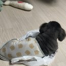 유스동물병원 이미지